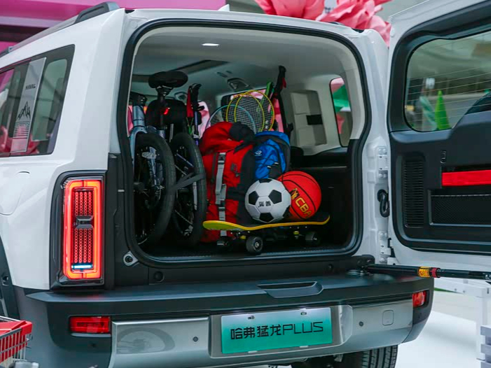 哈弗猛龙PLUS正式上市  预售价18.98万起插图2