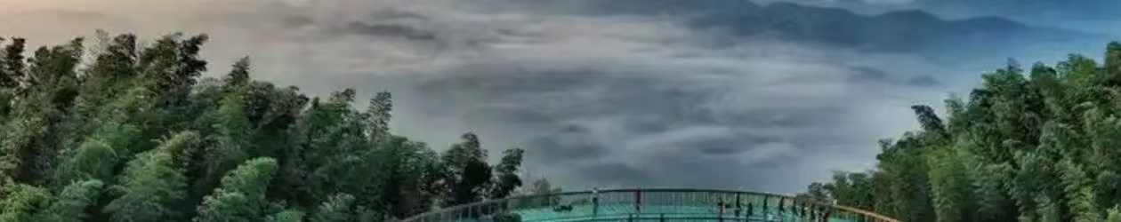 美丽城市丨宜宾“两海”：竹海听风，石海探奇