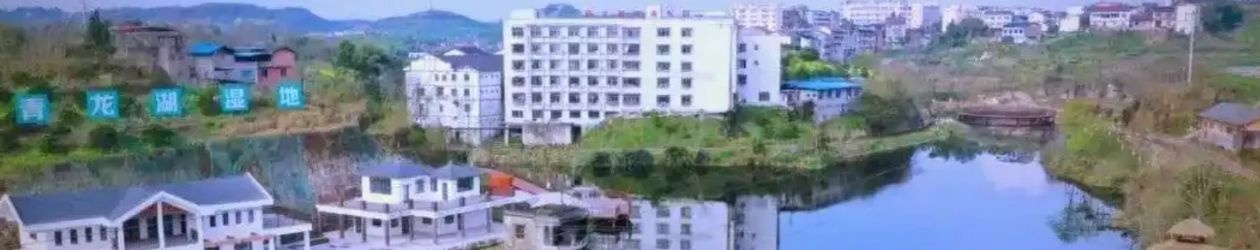 美丽小镇丨重庆新立镇：以橘为媒 多元融合