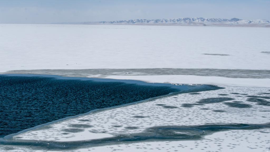 美丽景区丨青海湖：生态为基·交旅融合的青藏高原旅游标杆