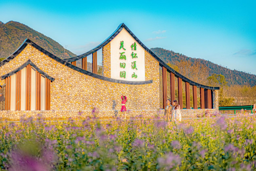 凝聚乡贤力量,助力乡村文化振兴-新华网
