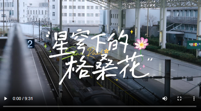 《崩坏：星穹铁道》开展公益联动，助力“格桑花之爱”破圈前行