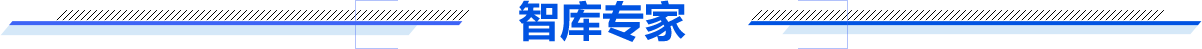 智库专家
