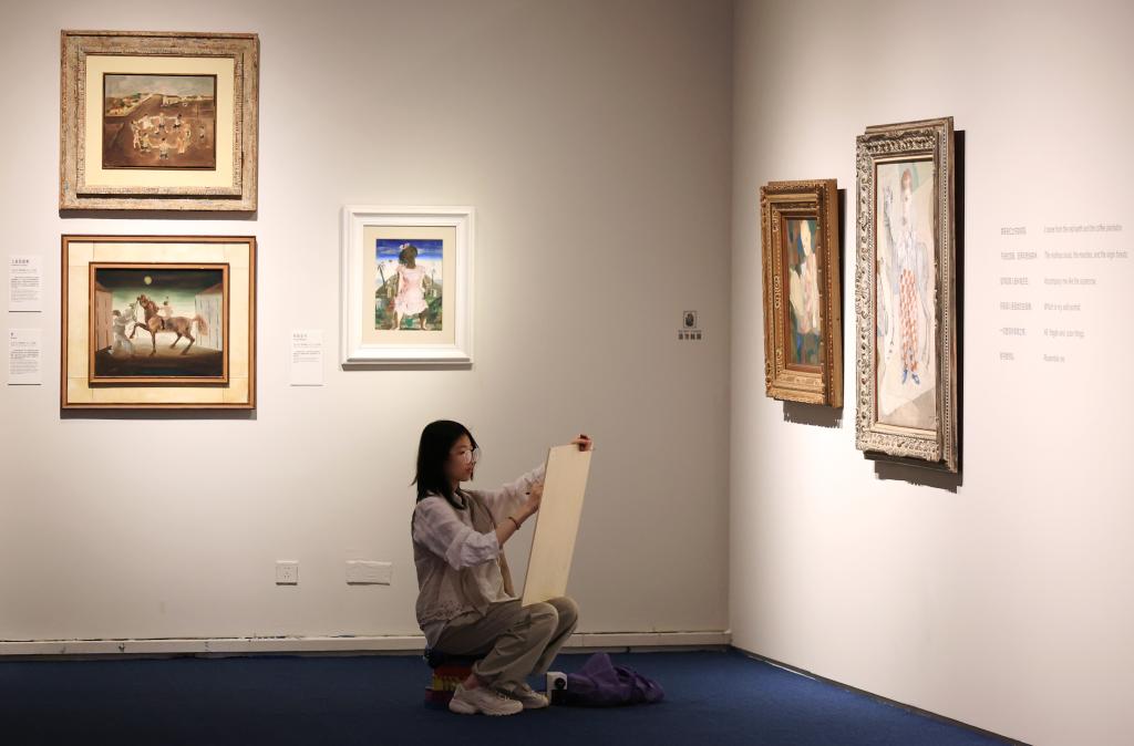 “巴西魂——波尔蒂纳里艺术展”在国博开幕插图4