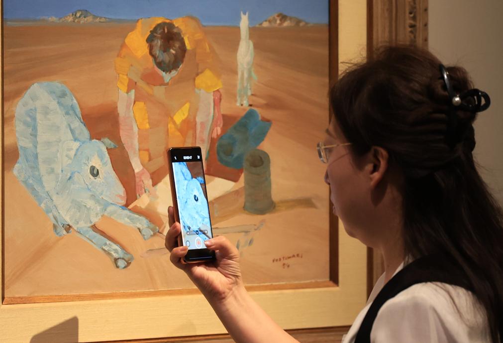 “巴西魂——波尔蒂纳里艺术展”在国博开幕插图3