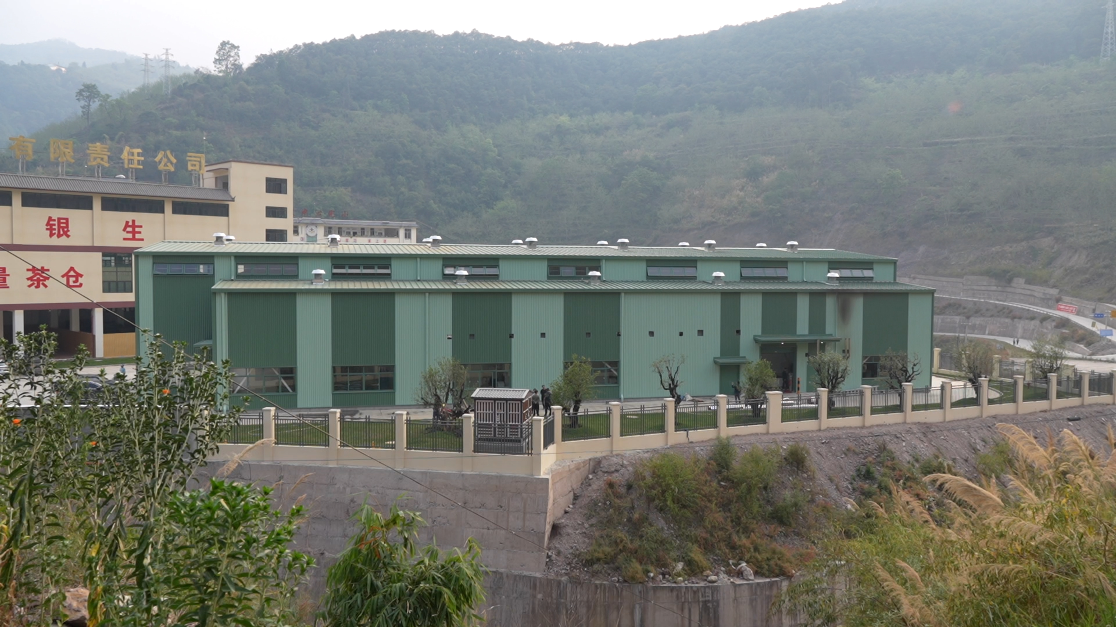 云南茶业升级之路——农夫山泉“授渔”模式助力产业振兴