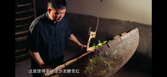 影像为媒 佳茗为载 《茶的传人》以匠心传续千年茶韵插图4