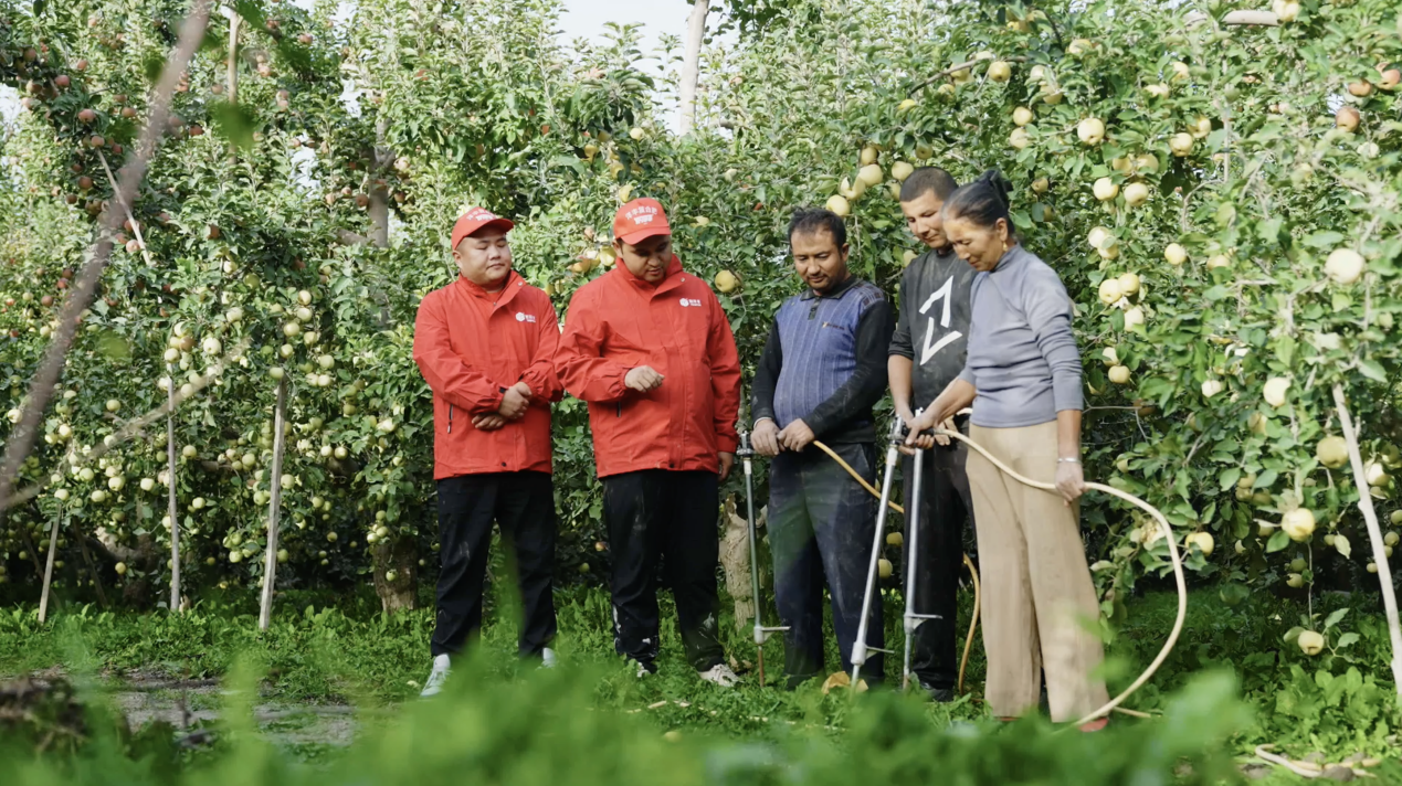 新洋丰斩获全国企业管理现代化创新成果奖插图3