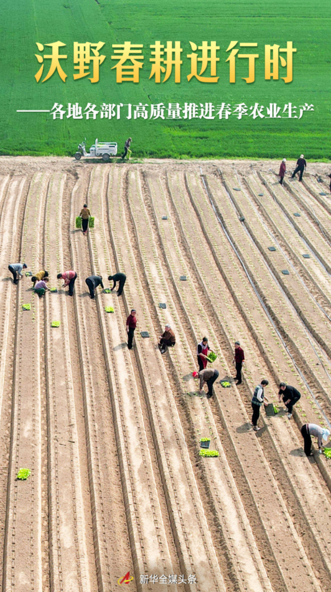 沃野春耕进行时——各地各部门高质量推进春季农业生产_商业头条网