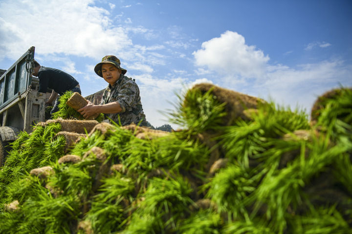 沃野春耕进行时——各地各部门高质量推进春季农业生产插图8