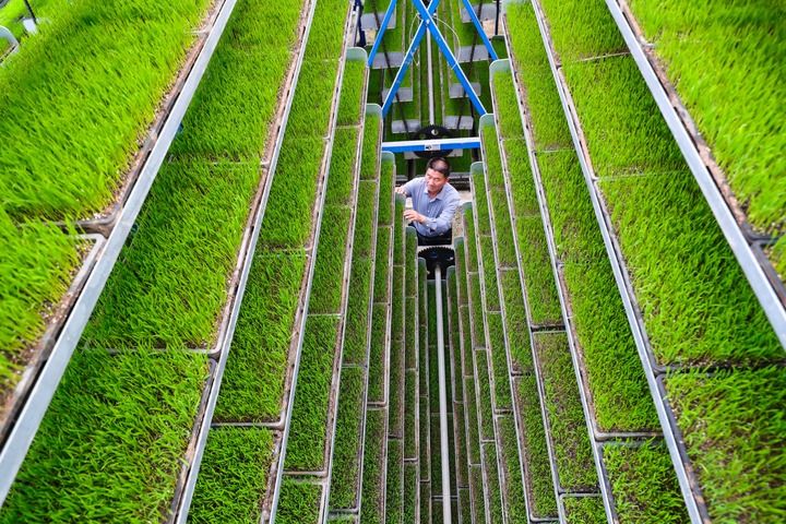 沃野春耕进行时——各地各部门高质量推进春季农业生产插图7