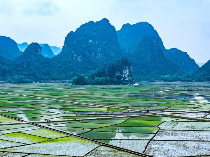 沃野春耕进行时——各地各部门高质量推进春季农业生产插图3