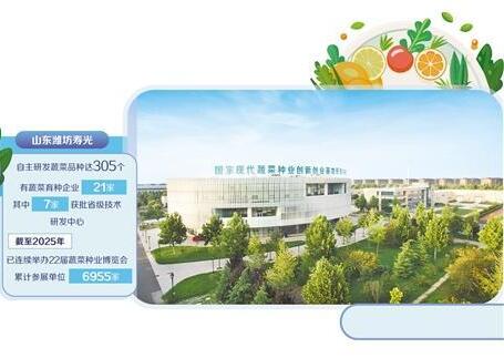 蔬菜之乡有了“中国芯”——来自山东潍坊寿光市的调查_商业头条网