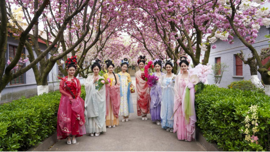 赴一场樱香酒韵之约 金徽酒樱花节赋能春日文旅新高度插图5 赴一场樱香酒韵之约 金徽酒樱花节赋能春日文旅新高度插图5