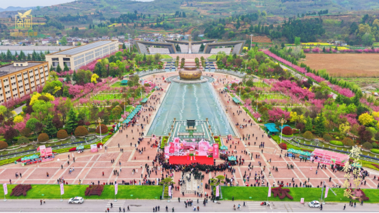 赴一场樱香酒韵之约 金徽酒樱花节赋能春日文旅新高度_商业头条网
