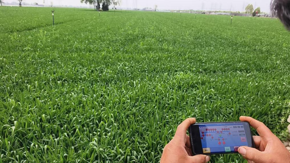 从“看天吃饭”到“看屏种地”：邯郸春耕一线见闻_商业头条网