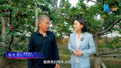 樱桃大了、上市早了：“鲁花花生肽肥”解锁增收新路径插图1