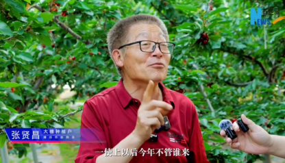 樱桃大了、上市早了：“鲁花花生肽肥”解锁增收新路径_商业头条网