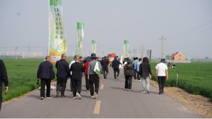 打造中国小麦保护性耕作样板——第六届黄淮海地区冬小麦保护性耕作技术交流活动在桓台举办_商业头条网