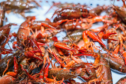 以品质化供给为引擎 永辉超市全链驱动绿色消费升级插图2