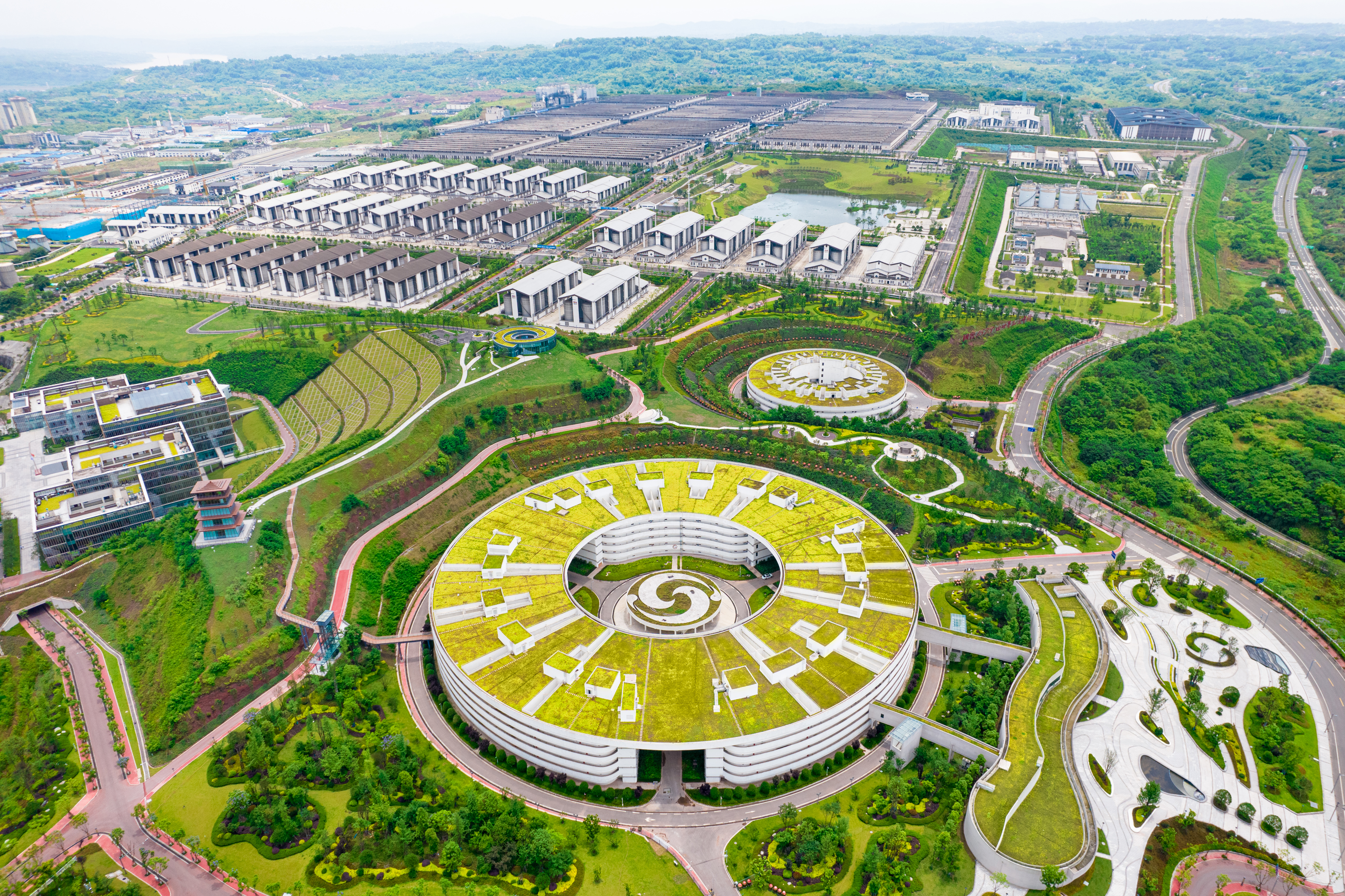 质效稳盘·数智革新·生态共生——解码泸州老窖高质量发展密码插图