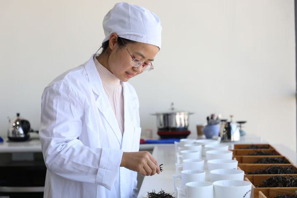 王燕：一位中茶员工的全国五一劳动奖章匠心之路_商业头条网