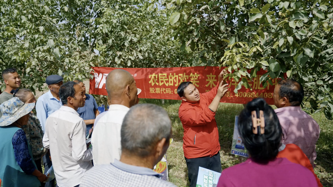 双榜首背后的“三双四柱”战略定力——解码新洋丰持续领跑的底层逻辑之一插图1