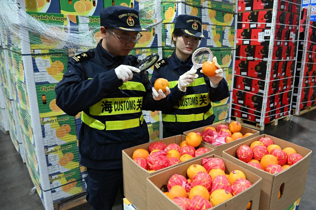 财经聚焦|零关税助力非洲好物拥抱中国大市场插图2