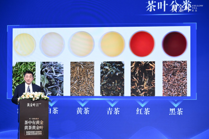 竹叶青黄茶黄金叶上市 “不一样的黄茶”解锁健康新选择插图3