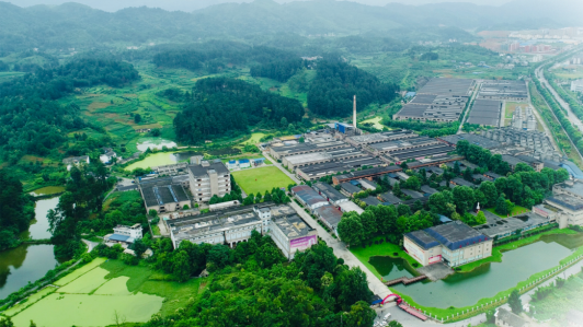 匠心淬酱香 荣耀铸丰碑：金沙酒业蒋想荣获2026年全国五一劳动奖章插图4