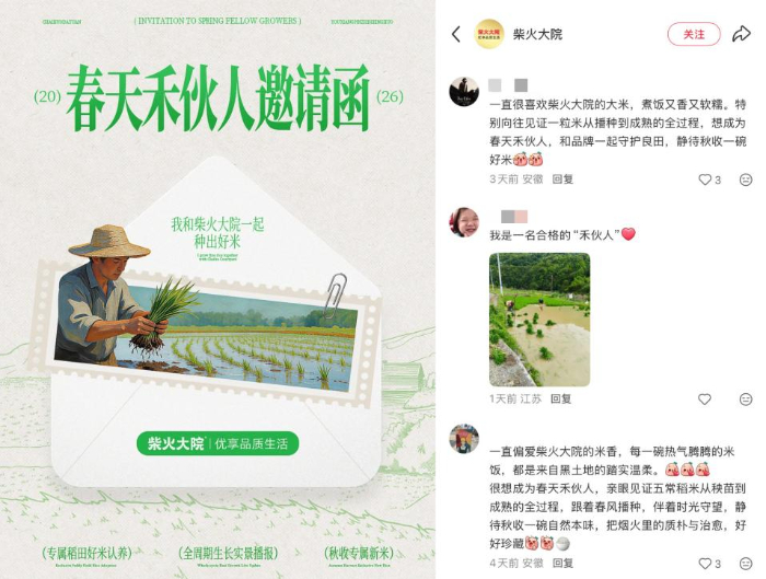 柴火大院2026年插秧节:黑土地上的高品质生活耕守叙事插图3 柴火大院2026年插秧节:黑土地上的高品质生活耕守叙事插图3