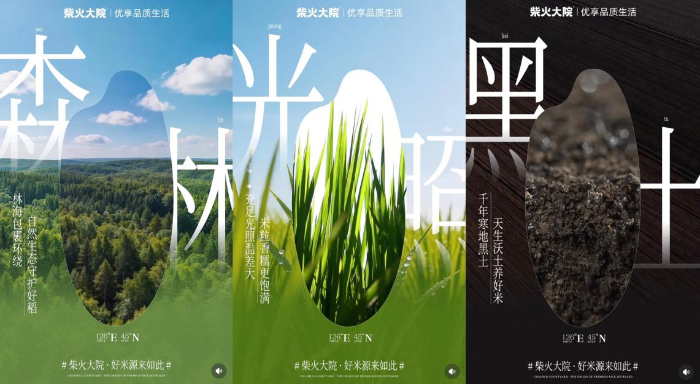 柴火大院2026年插秧节:黑土地上的高品质生活耕守叙事插图2 柴火大院2026年插秧节:黑土地上的高品质生活耕守叙事插图2