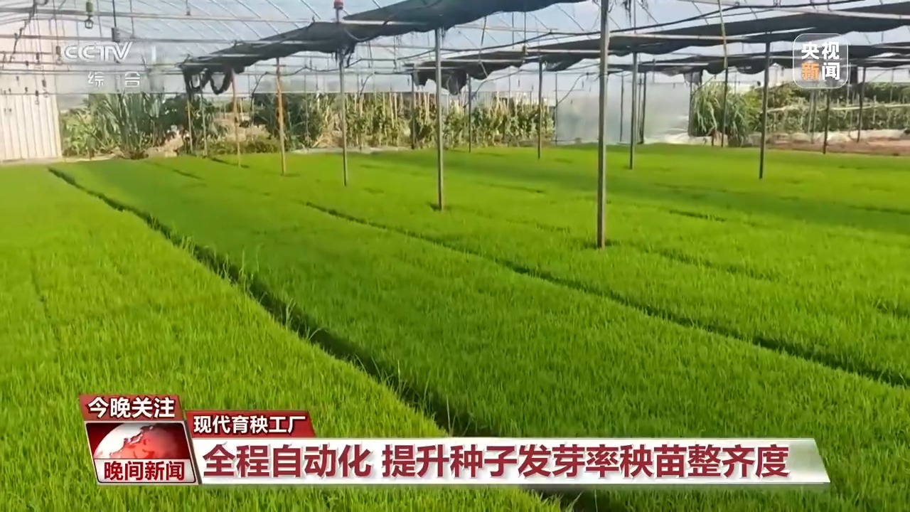 全国小麦收获进度已过三成半 各地智慧农机显身手插图5 全国小麦收获进度已过三成半 各地智慧农机显身手插图5