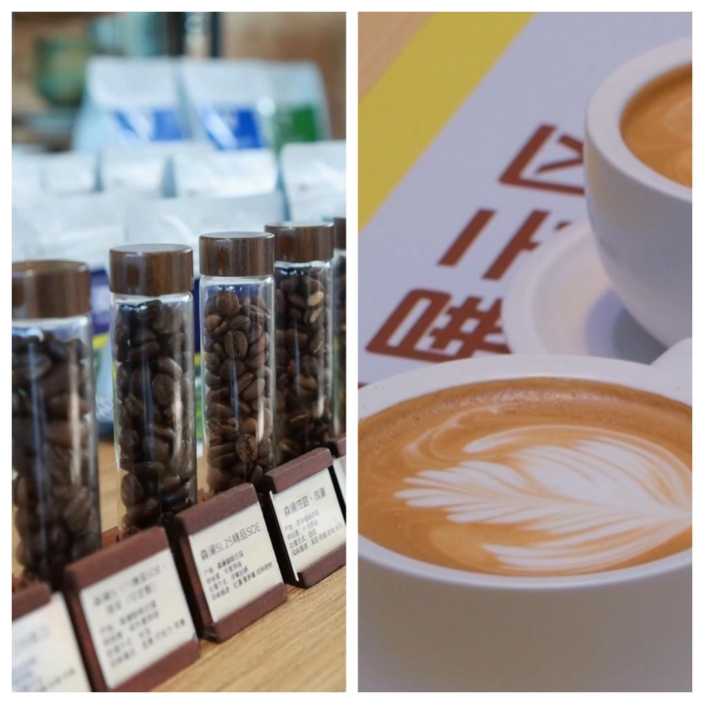 从“豆子”到“杯子” 广东江门打造咖啡全产业链插图 从“豆子”到“杯子” 广东江门打造咖啡全产业链插图