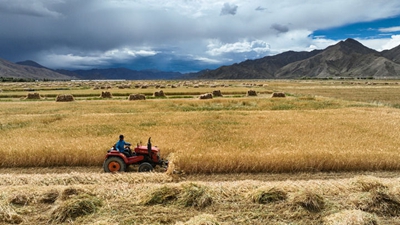 家电业扬帆出海-受全球需求持续回