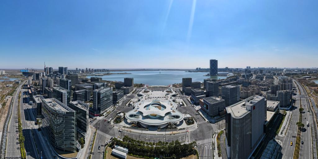 实力“圈粉”！自贸试验区育出近200项“创新果”