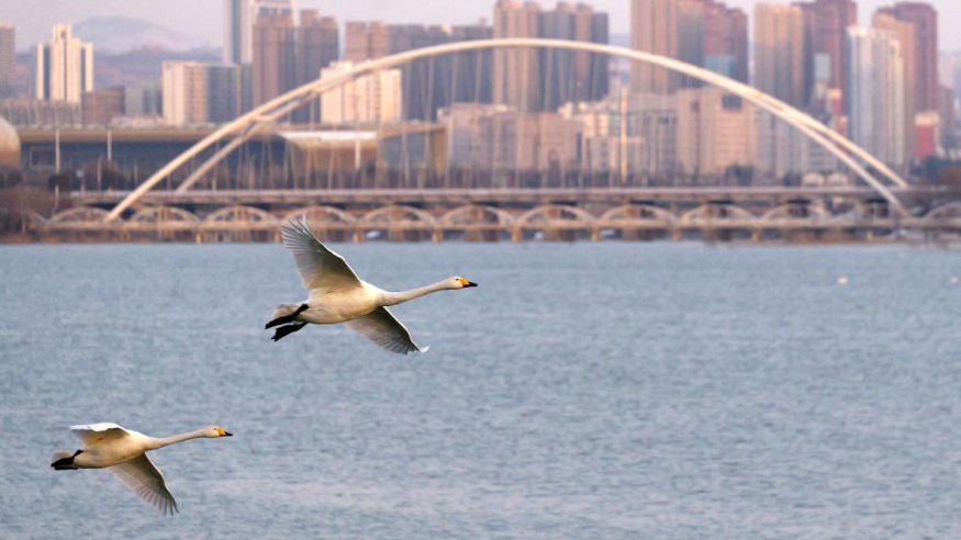 深入推进税务领域改革 税务部门明