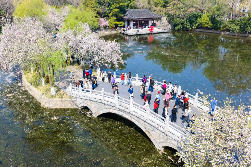 首席记者谈首季经济·价格篇丨价格温和回升，显现供求关系改善