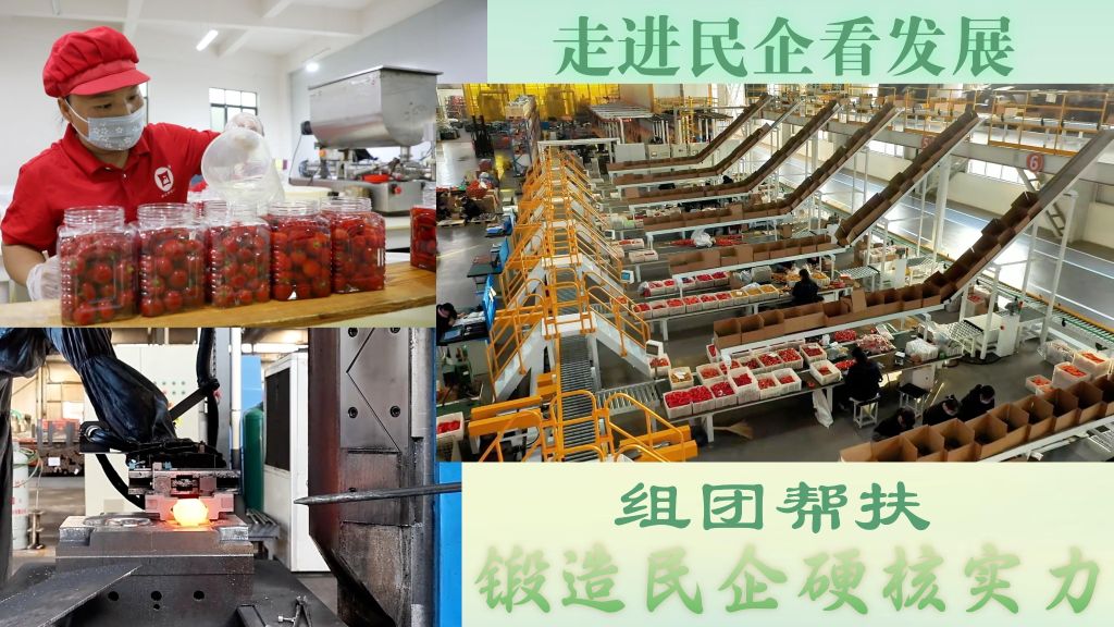走进民企看发展丨组团帮扶 锻造民企硬核实力