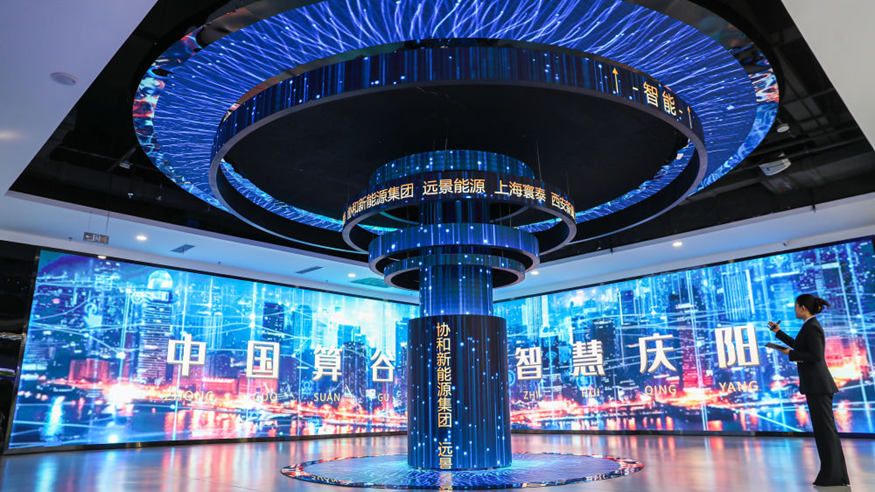 国家统计局城市司高级统计师杨彩芳