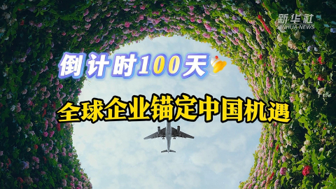 从税收大数据看上半年经济运行亮点
