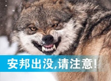 安邦出没,请注意!