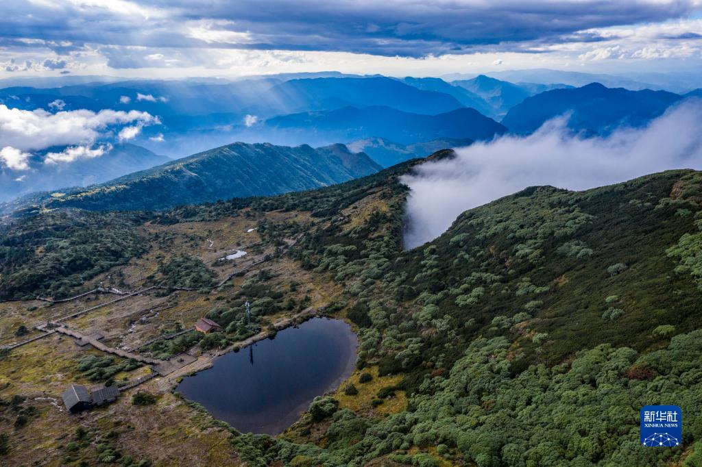 云南轿子山国家级自然保护区位于昆明市东川区与禄劝彝族苗族自治县的