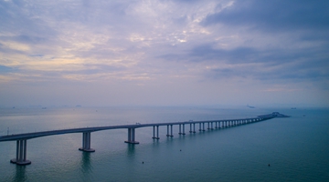 聚焦大湾区丨粤港澳游艇自由行首航 大湾区优质生活圈加速形成