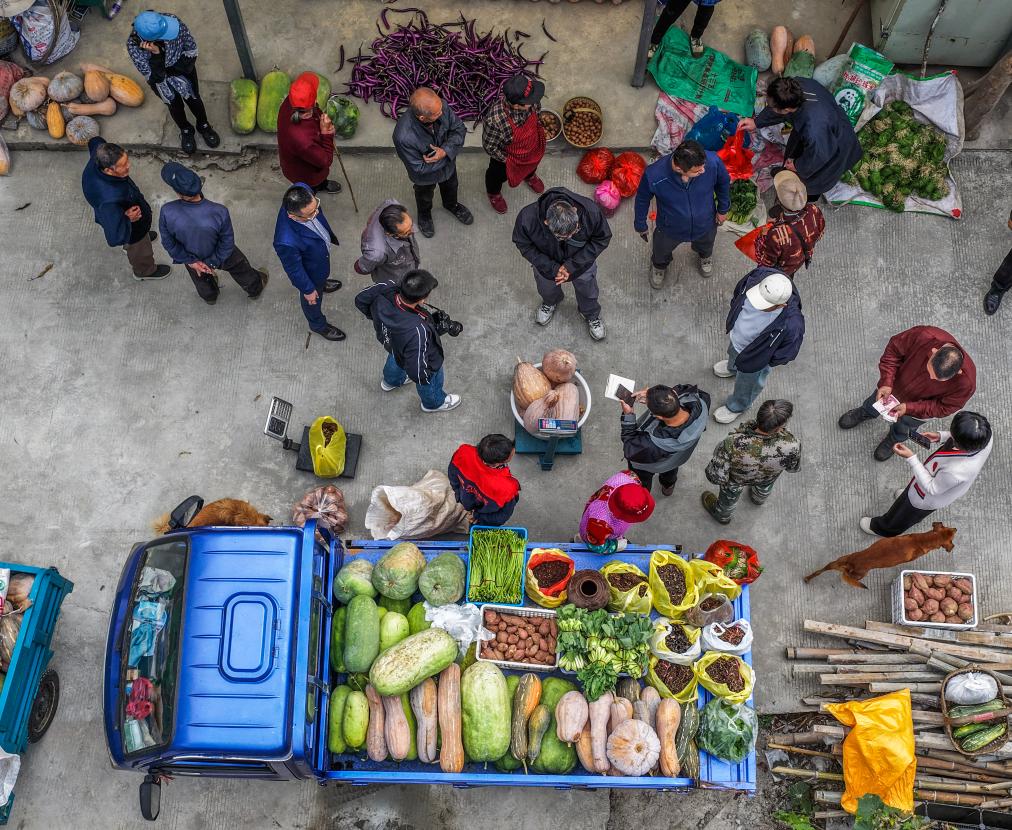 公益收菜计划温暖山村留守老人