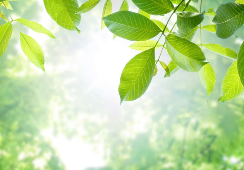 “守护心‘晴’——全民心理健康服务行动”落地甘肃庆阳