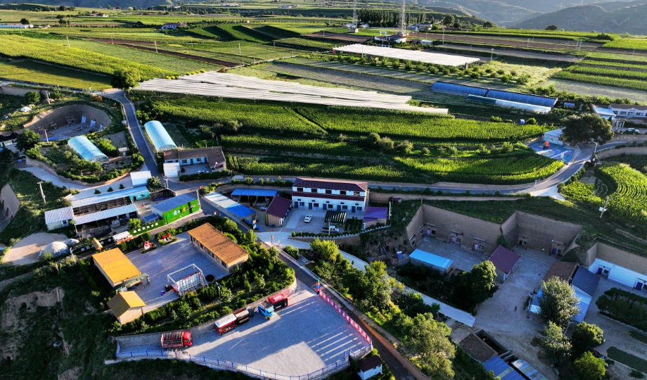 【文明中国·看甘肃】穷山峁吃上了“文旅饭”