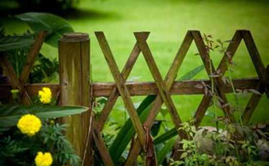 【解码】栅栏建好之前，不要把市场放养