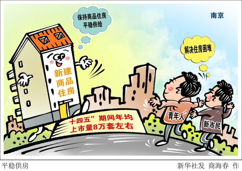 南京：“十四五”期间年均新建商品住房上市量8万套左右-新华网