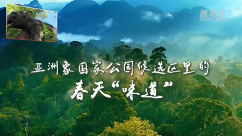 中国之城丨重庆奉节：挂在山上的城